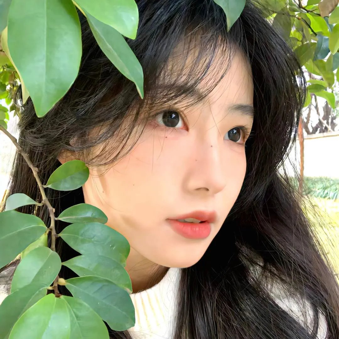 脱口秀大会第五季